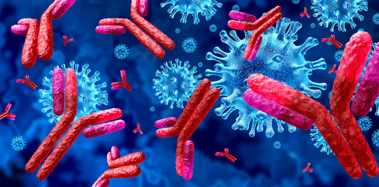 Método Imunocromatografia, o que é e como funciona