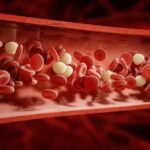 Células avaliadas no hemograma: Eritrócitos e leucócitos