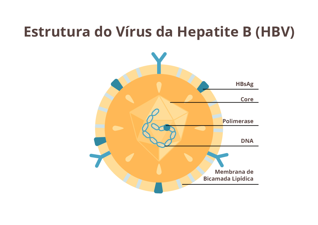 Ilustração do Vírus da Hepatite B (HBV)